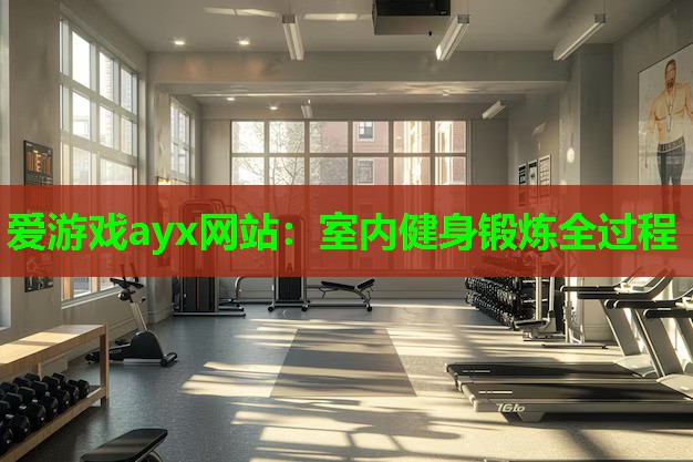 爱游戏ayx网站：室内健身锻炼全过程