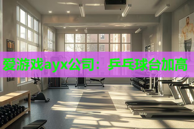 爱游戏ayx公司：乒乓球台加高