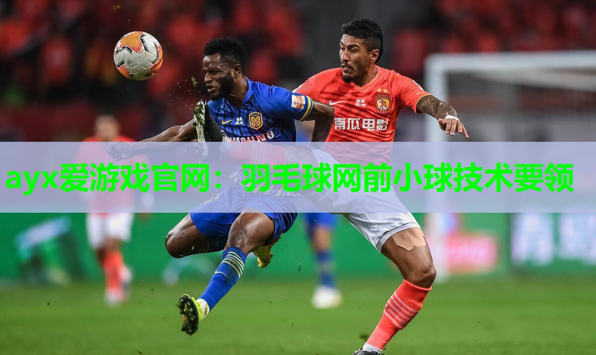 ayx爱游戏官网：羽毛球网前小球技术要领