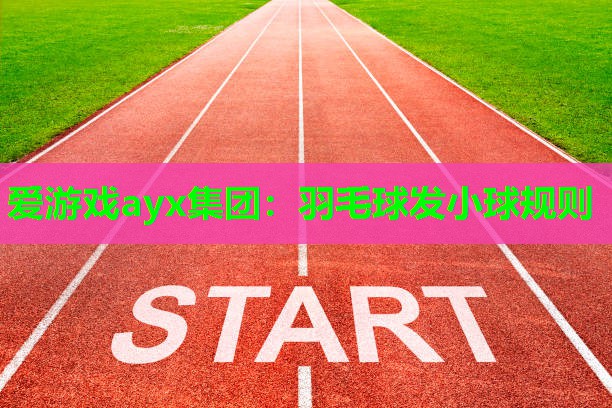 爱游戏ayx集团：羽毛球发小球规则