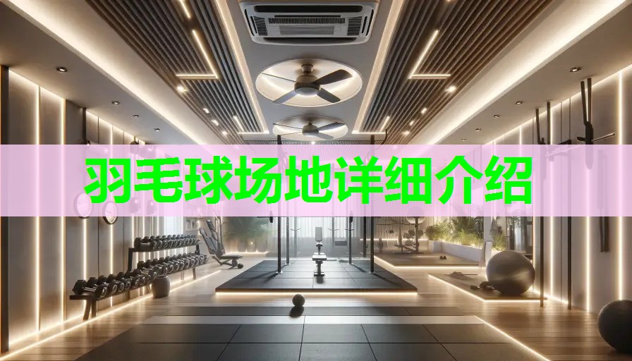 羽毛球场地详细介绍
