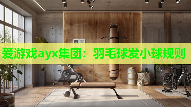 羽毛球发小球规则