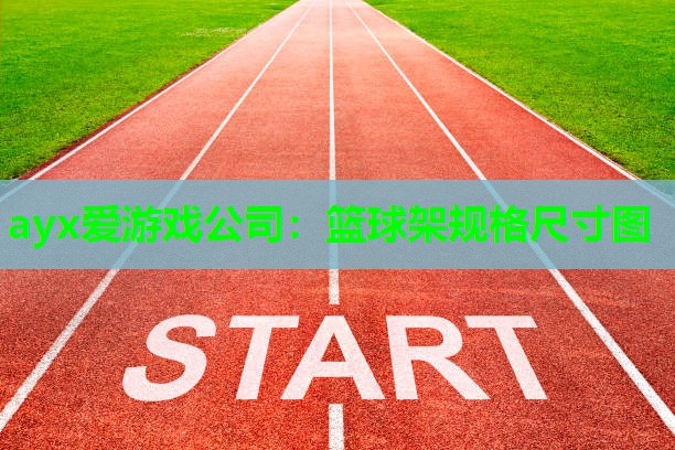 篮球架规格尺寸图