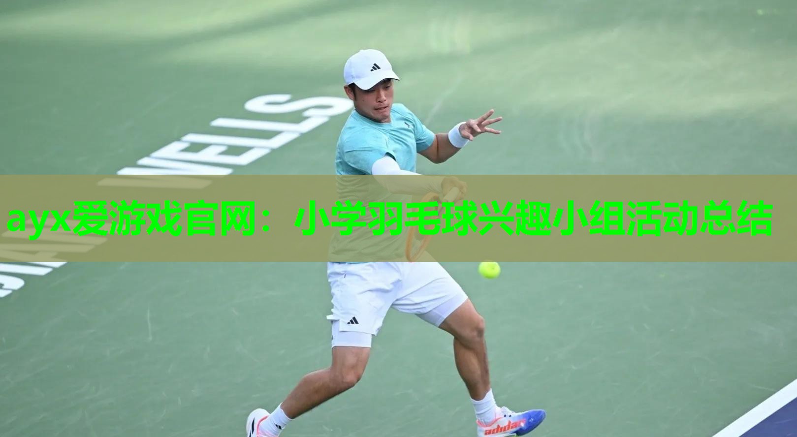 小学羽毛球兴趣小组活动总结