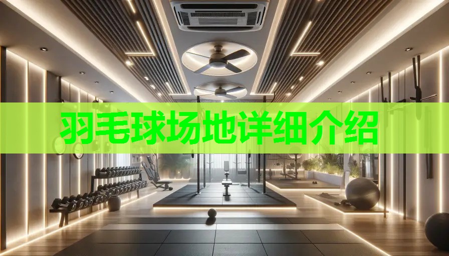 羽毛球场地详细介绍